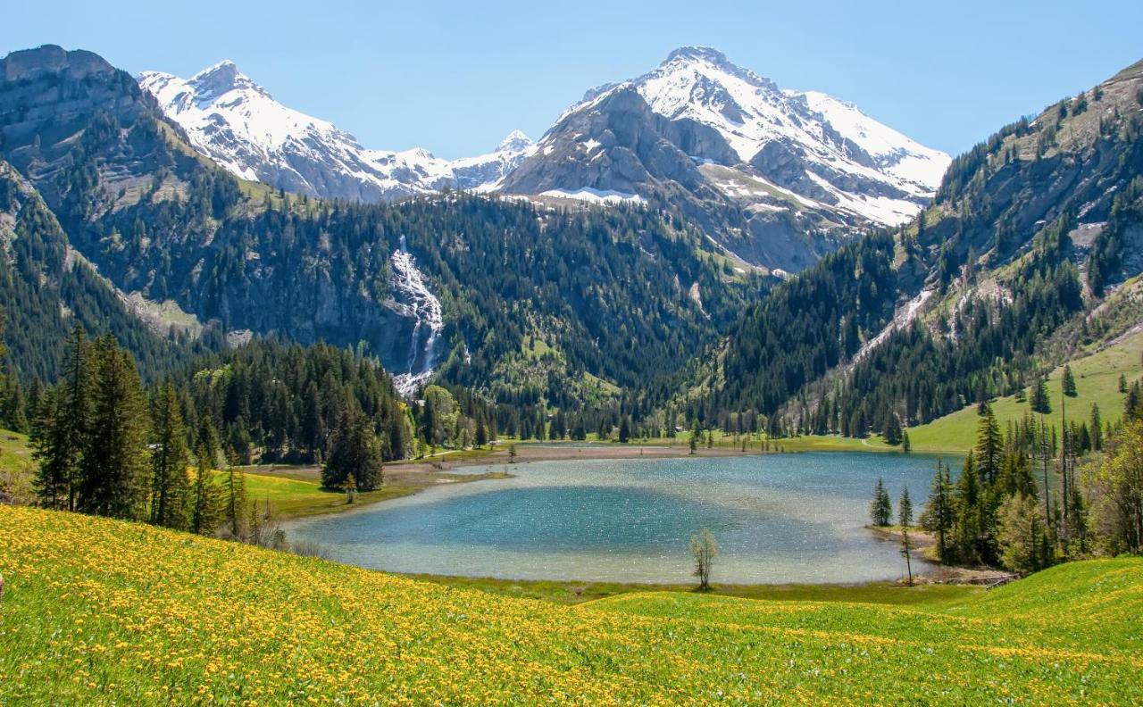 Hotel Alpenland Gstaad Ngoại thất bức ảnh